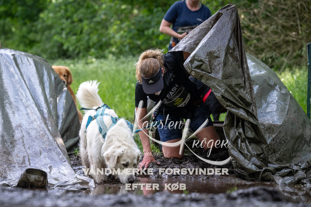 1241_ZZ93098 | kk-dogfotos