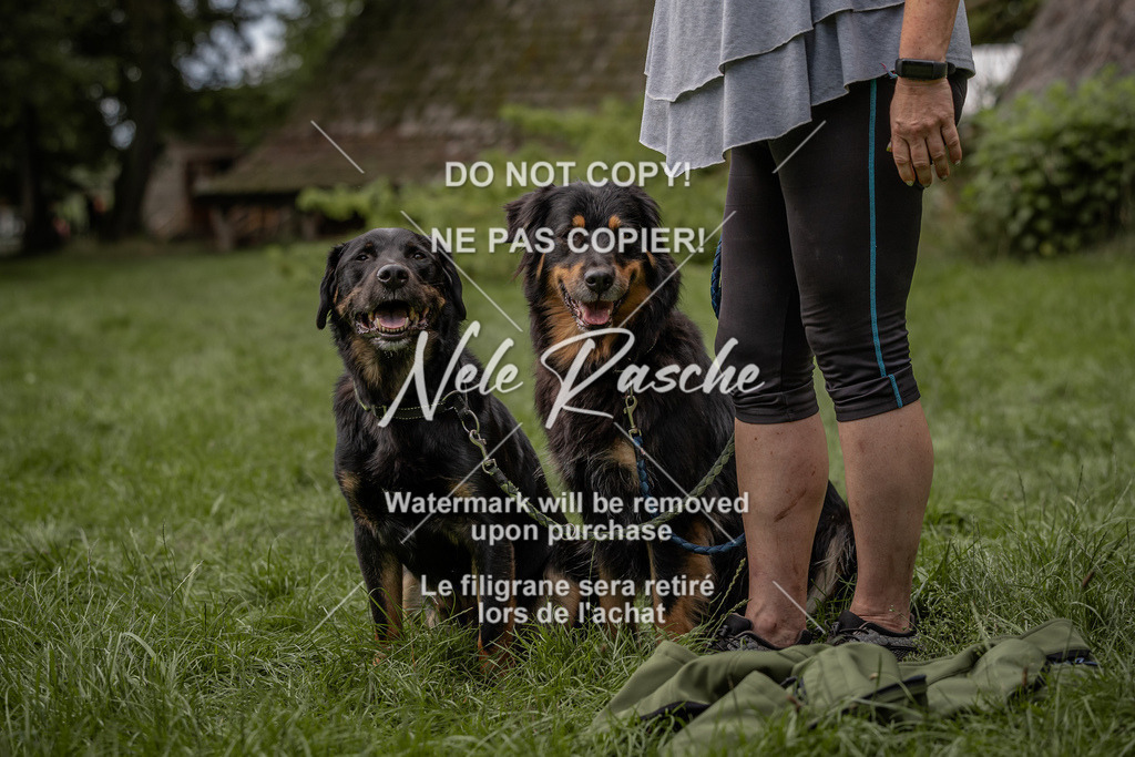 nelerasche_DoN_91 | nelerasche