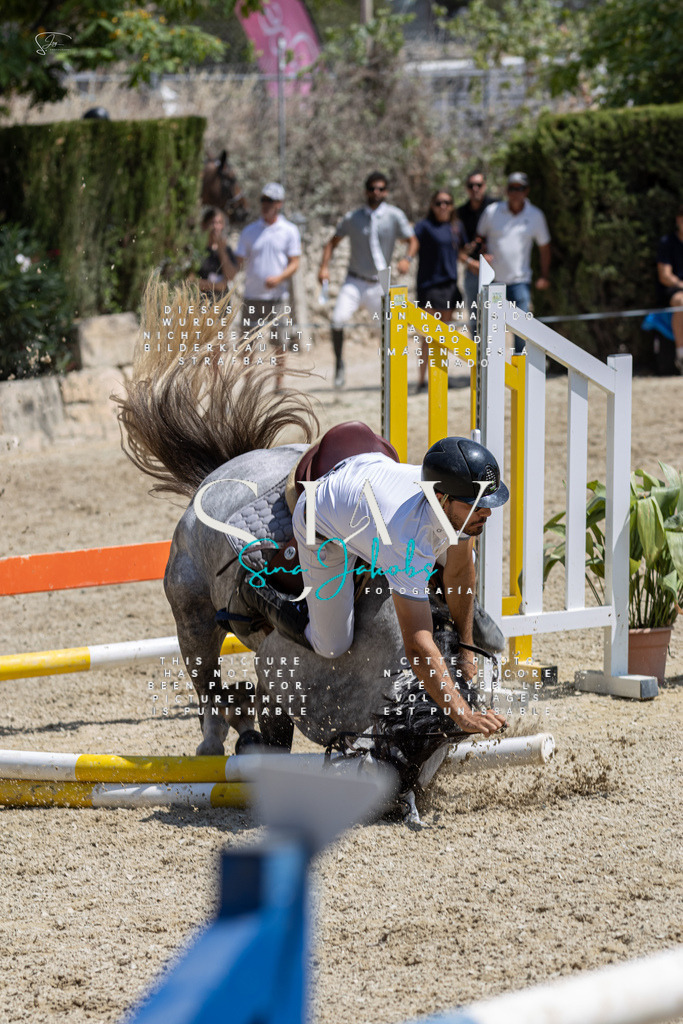 IMG_8043 | s-jay-photography - Realisiert mit Pictrs.com