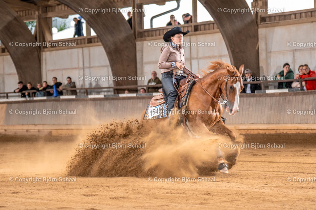 LMS03636 | BS-foto