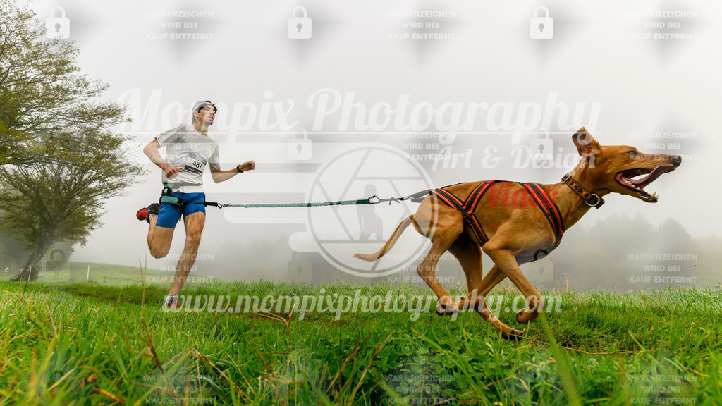 MompixPhotography_20TSB_E5_Run-14 | PayLife