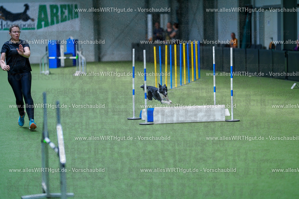@allesWIRTHgut_Tierfotografie - www.allesWIRTHgut.de - 2604261357-7R503032 | Professionelle Tierfotografie in Mönchengladbach von Daniel Wirth (allesWIRTHgut). Liebevolle & natürliche Bilder von Hunden & Katzen für unvergessliche Erinnerungen.