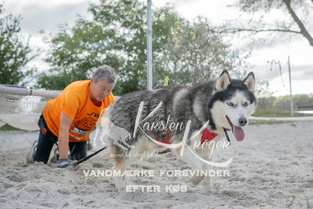 1359_ZZ99075 | kk-dogfotos