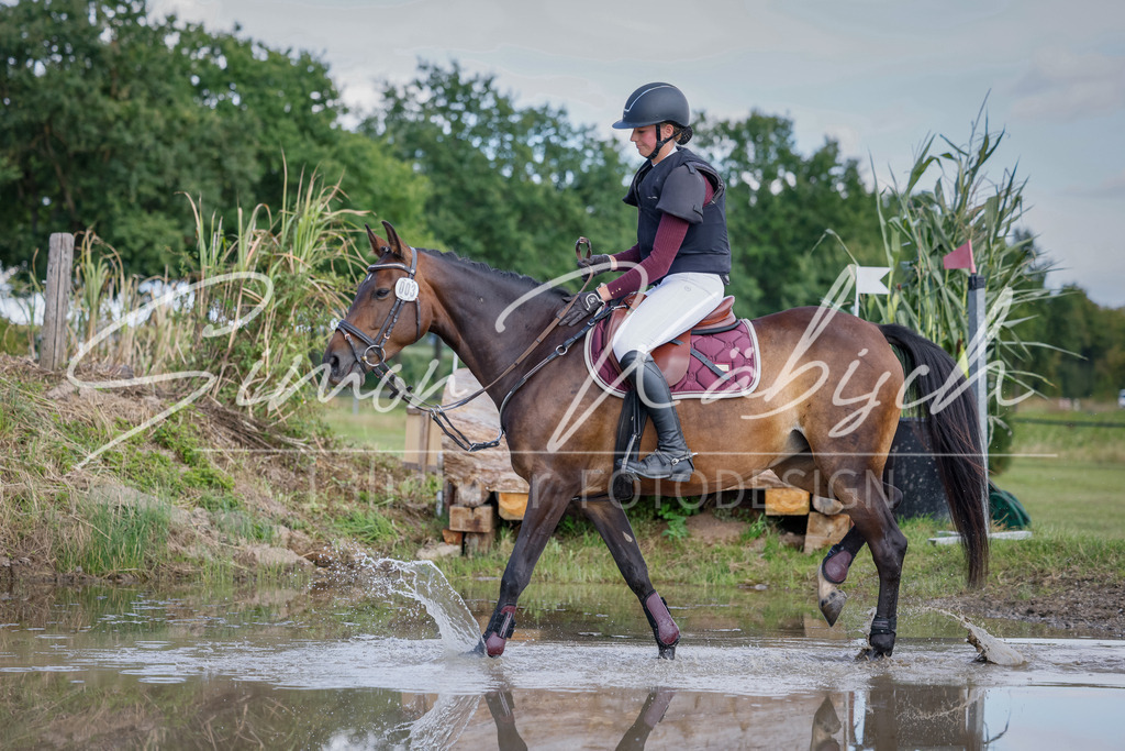 20250905-_3LI0236 | Tierfotografie Pferde, Hunde, Katzen, Haustiere.
Turnierfotografie Reitturniere, Reiten, Springreiten, Dressur in Hanau, dem Main-Kinzig-Kreis und dem Rhein-Main- Gebiet um Frankfurt