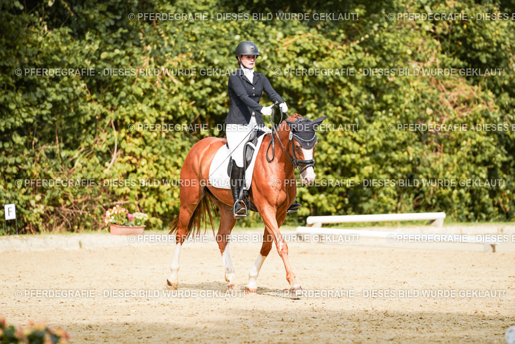 DSC03232 | Pferdegrafie