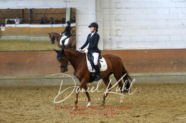 DKP43583 | Turniersportfotografie; Pferdefotografie; Dressurfotografie