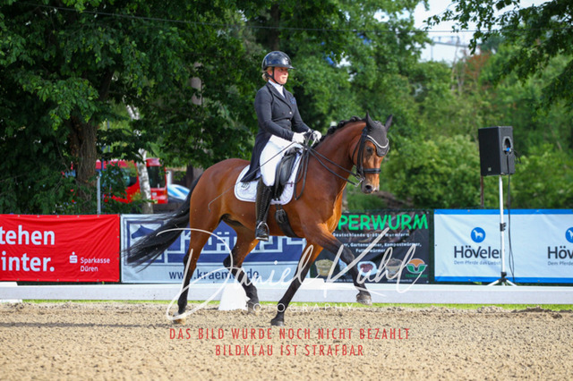 DKP41615 | Deine Turnierfotos vom Reitturnier online kaufen: Dressur, Springen & Siegerehrung. Professionelle Pferdefotografie aus dem Rheinland – als Download & Print.Alternative: Turnierfotograf für den Pferdesport: Finde deine Fotos von Dressur- und Springturnier