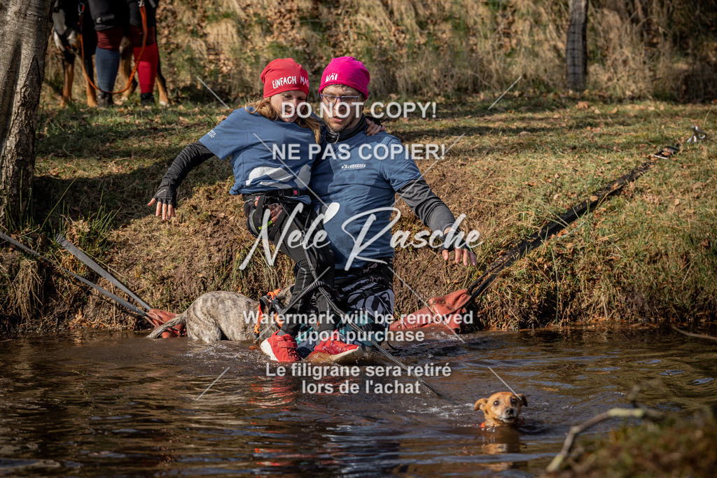 nelerasche_FS1330-1400_33 | nelerasche