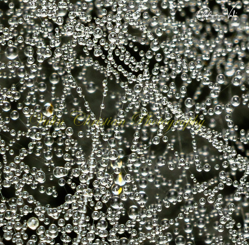 MN 23 | Christian Vulin  - Realisiert mit Pictrs.com