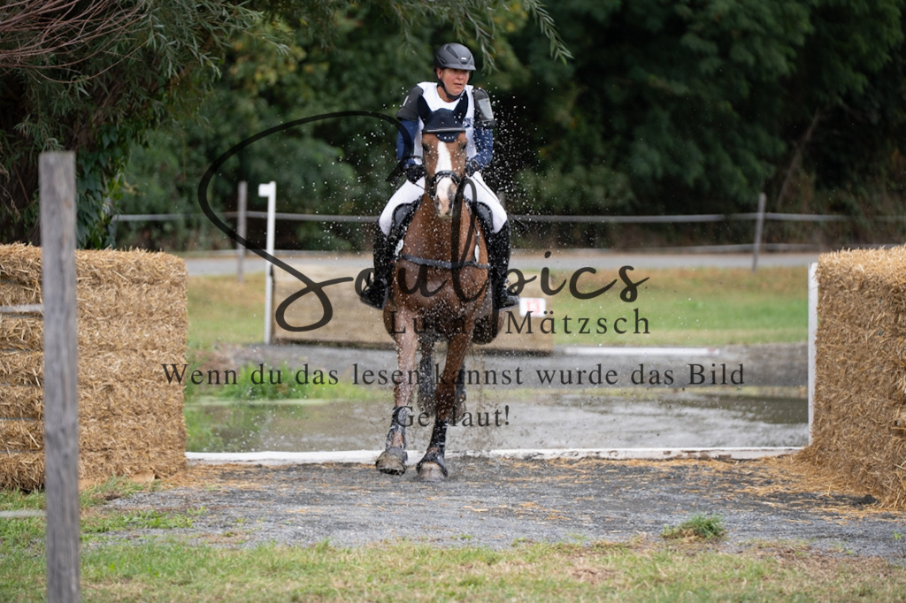 A7V00420 | Pferdefotograf