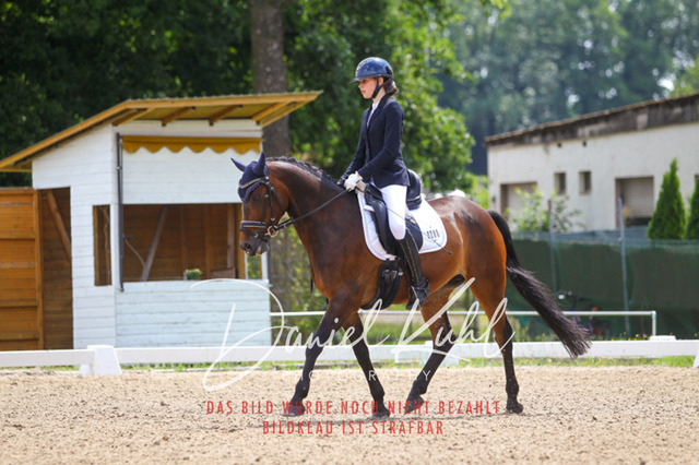 DKP42161 | Turniersportfotografie; Pferdefotografie; Dressurfotografie