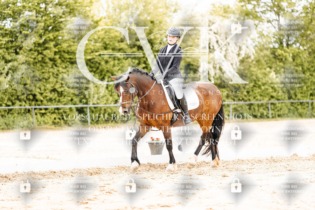 CK902863 | Turnierfotografie Pferdefotografie Trier Rheinland-Pfalz Pferdesport Reitsport Tierfotografie Sportfotografie Pferdevideo Pferdevideografie Equestrianvideography equestrianphotography  - Realisiert mit Pictrs.com