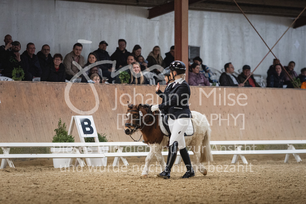 230319_HF-Schwm_Führzügel-233 | Herford-Schwarzenmoor, Dressurtag 2023, Führzügel-WB