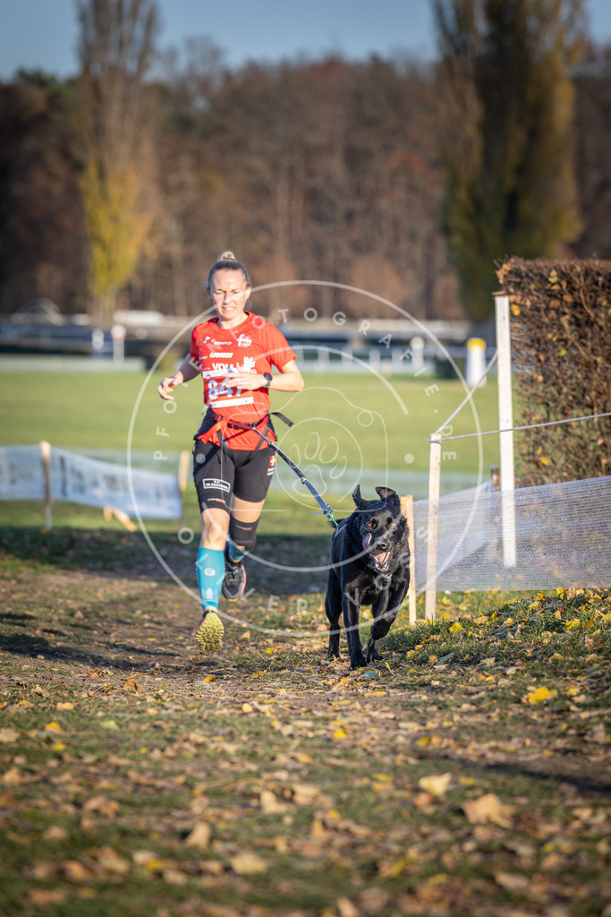 CaniXpix_DV3A3795 | Hundefotografie, Tierfotograf, Pfotenfotografie, Fotoshooting Hund, Hunde Portrait, Hundesport, Hundeportraits, Heideshooting, Hunde, Sportfotograf, Hundefotograf, Turnierhundsport, THS,  - Realisiert mit Pictrs.com