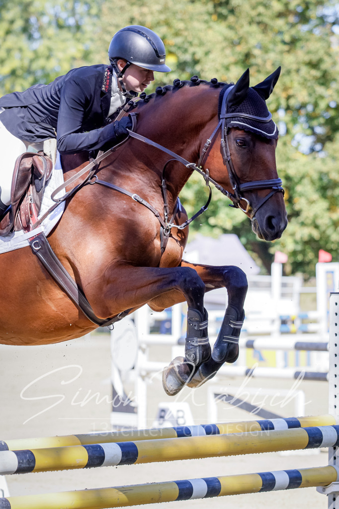 20250906-_3LI3719 | Tierfotografie Pferde, Hunde, Katzen, Haustiere.
Turnierfotografie Reitturniere, Reiten, Springreiten, Dressur in Hanau, dem Main-Kinzig-Kreis und dem Rhein-Main- Gebiet um Frankfurt