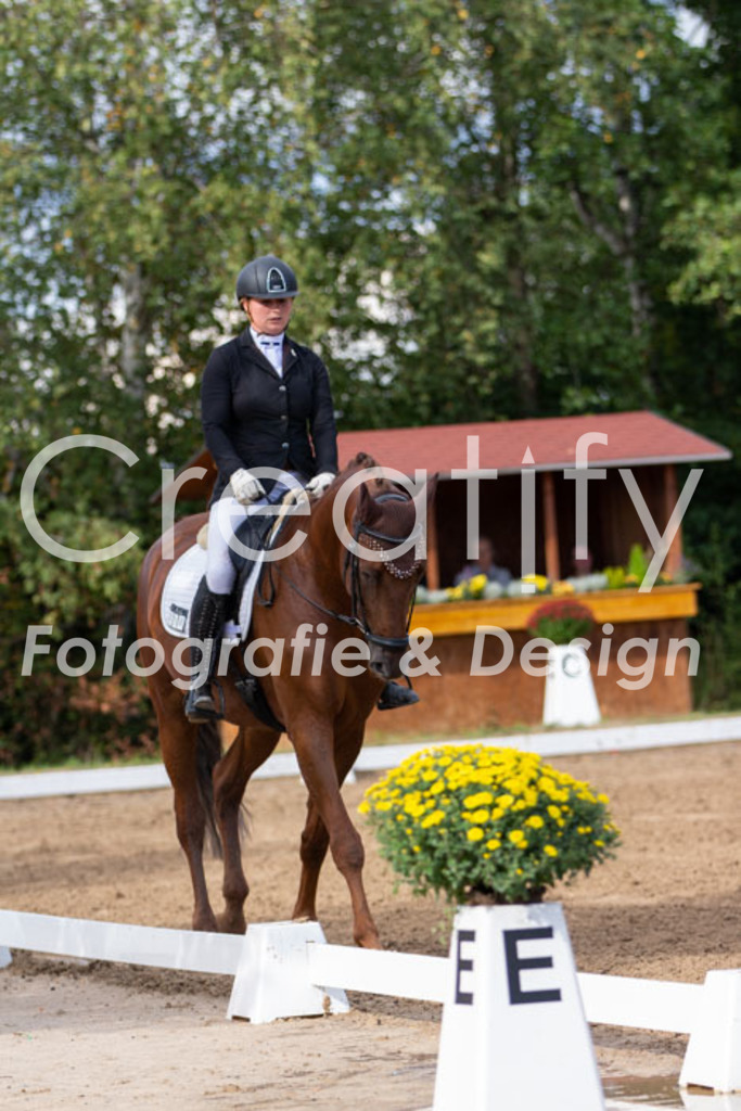 IMG_3770 | Creatify Fotografie