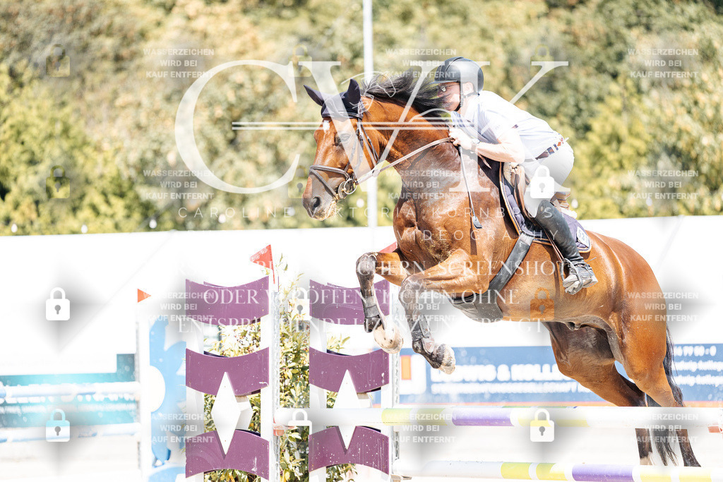 CK900534 | Turnierfotografie Pferdefotografie Trier Rheinland-Pfalz Pferdesport Reitsport Tierfotografie Sportfotografie Pferdevideo Pferdevideografie Equestrianvideography equestrianphotography  - Realisiert mit Pictrs.com