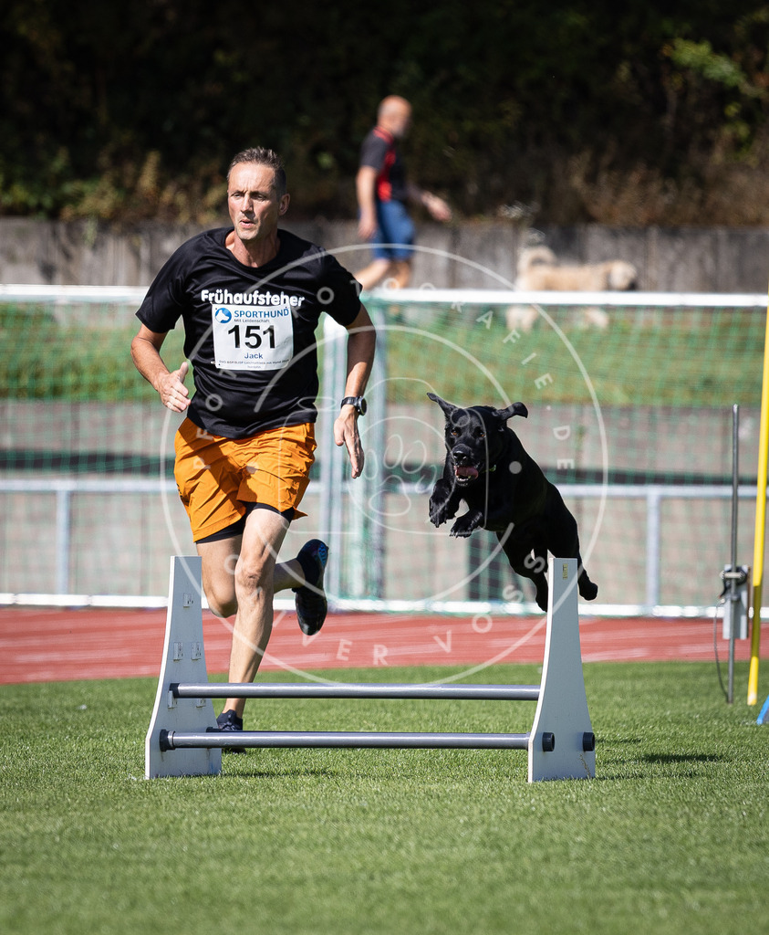 Pfotenfotografie_DV3A9370 | Hundefotografie, Tierfotograf, Pfotenfotografie, Fotoshooting Hund, Hunde Portrait, Hundesport, Hundeportraits, Heideshooting, Hunde, Sportfotograf, Hundefotograf, Turnierhundsport, THS,  - Realisiert mit Pictrs.com