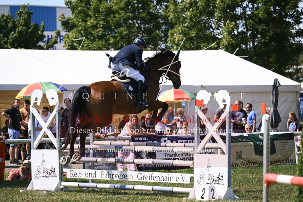 DSC_0189 | Pferde- und Turnierfotografie in Westsachsen. Pferdeportraits, Auftragszeichnungen und intuitive Kunst.