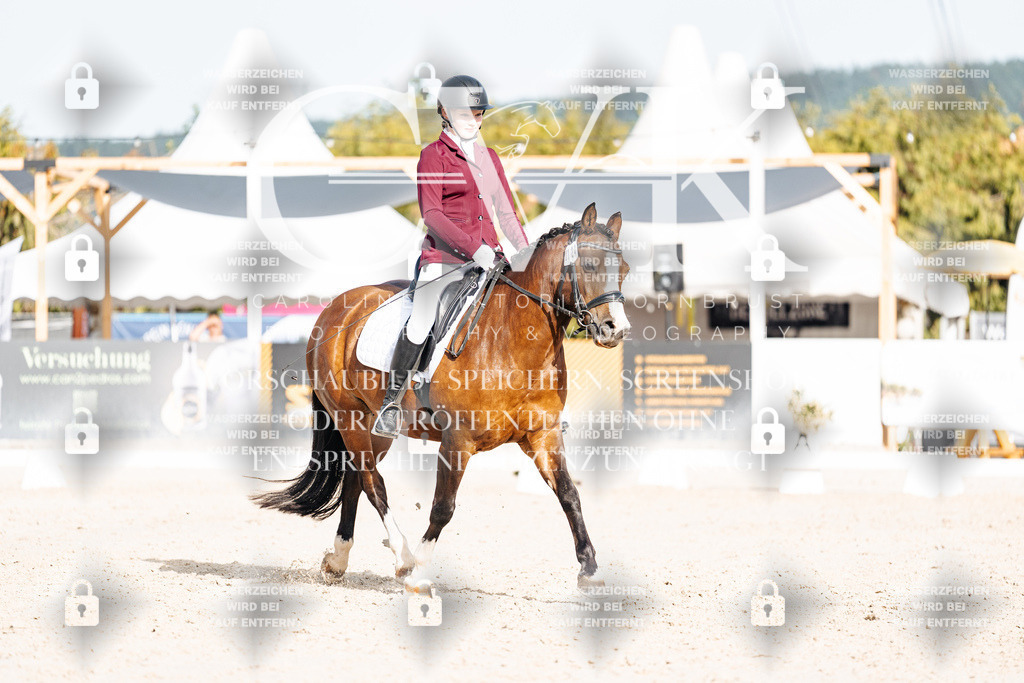 CK904874 | Turnierfotografie Pferdefotografie Trier Rheinland-Pfalz Pferdesport Reitsport Tierfotografie Sportfotografie Pferdevideo Pferdevideografie Equestrianvideography equestrianphotography  - Realisiert mit Pictrs.com