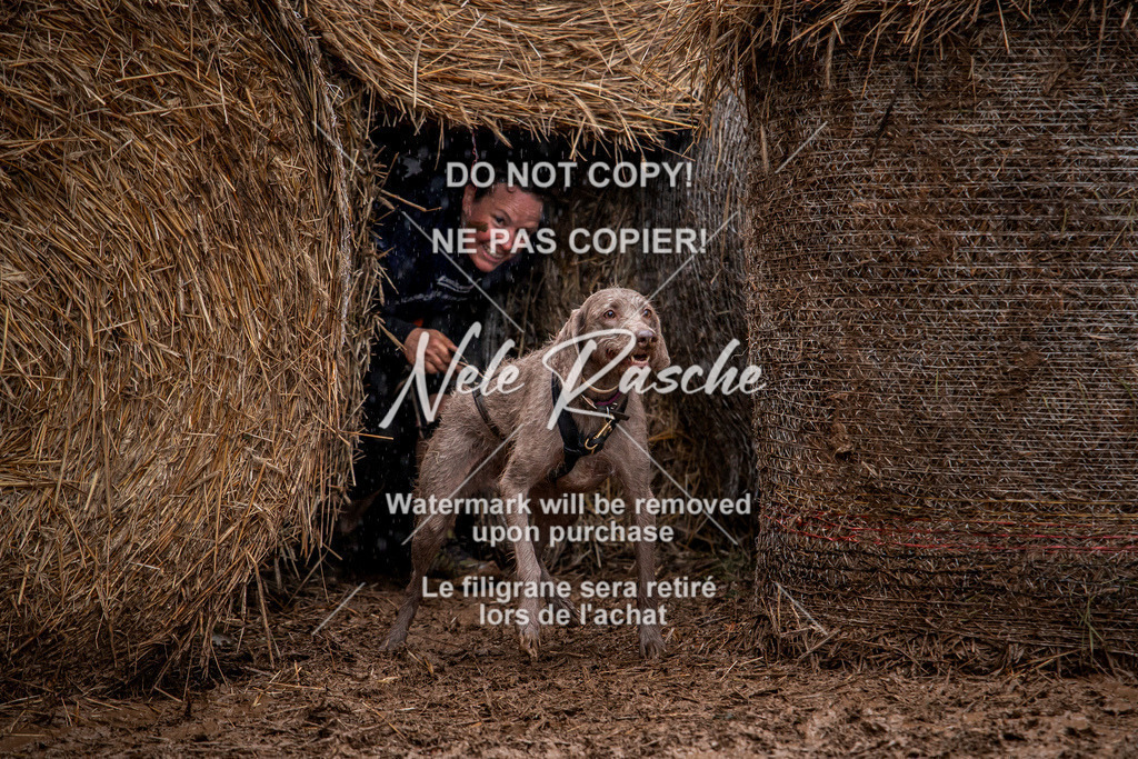 nelerasche_Hunsrück_So09-11_123 | nelerasche