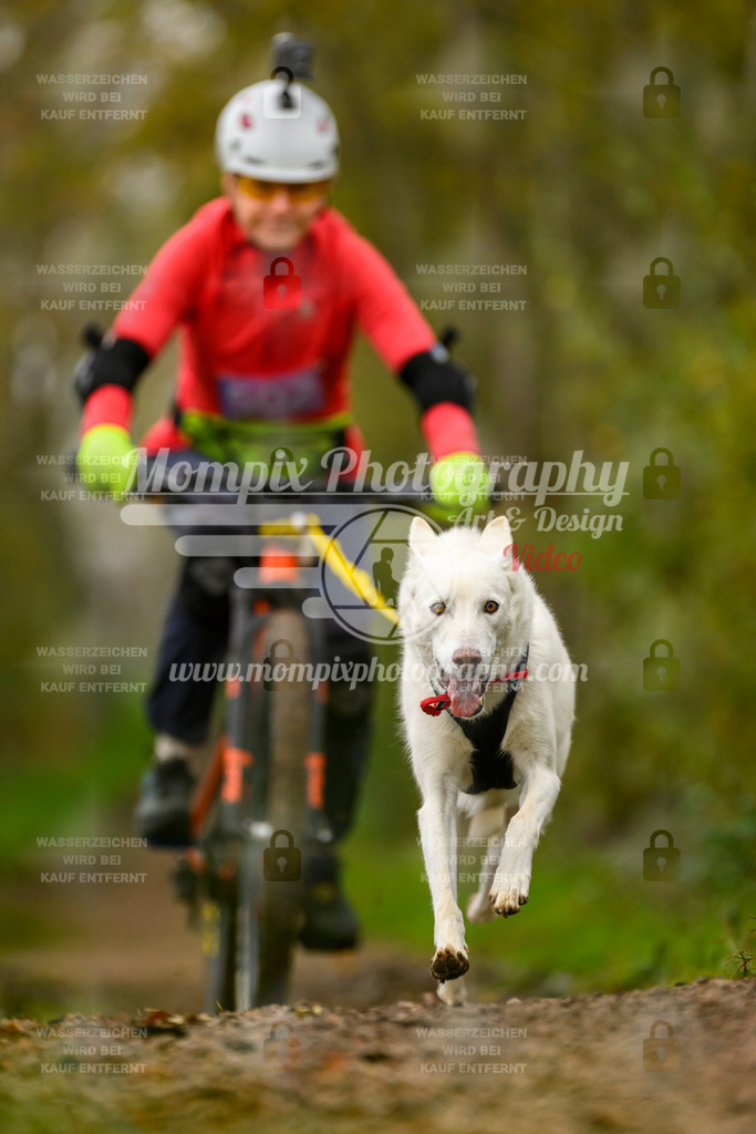 MompixPhotography_20TSB_E6_Bike-168 | PayLife