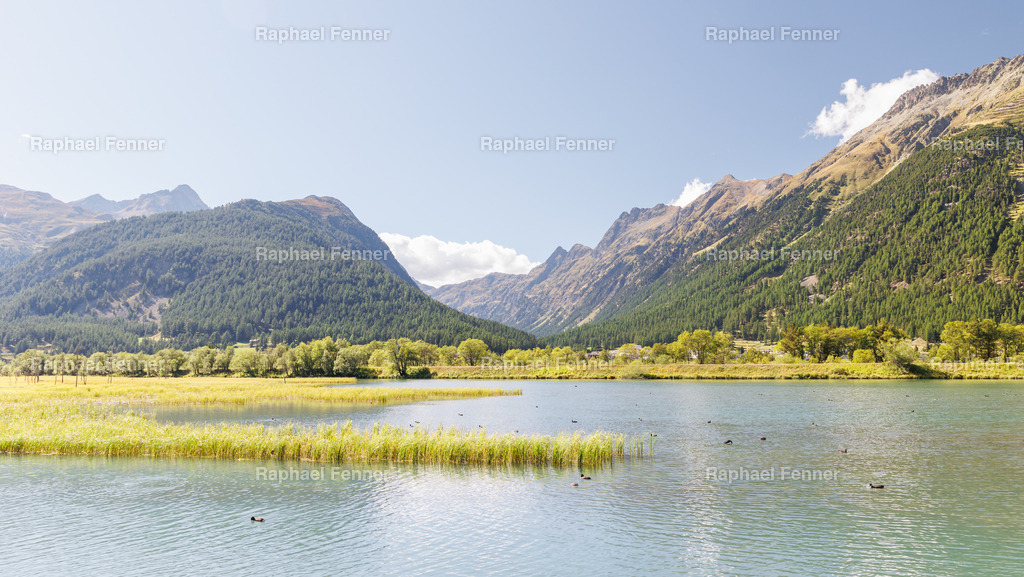 IMG_9225 | Erlebe eindrucksvolle Landschaftsfotografie aus dem Engadin und darüber hinaus. Raphael Fenner bietet zudem professionelle Fotoaufträge für Hochzeiten, Porträts und Unternehmen. Jetzt entdecken und inspirieren lassen!