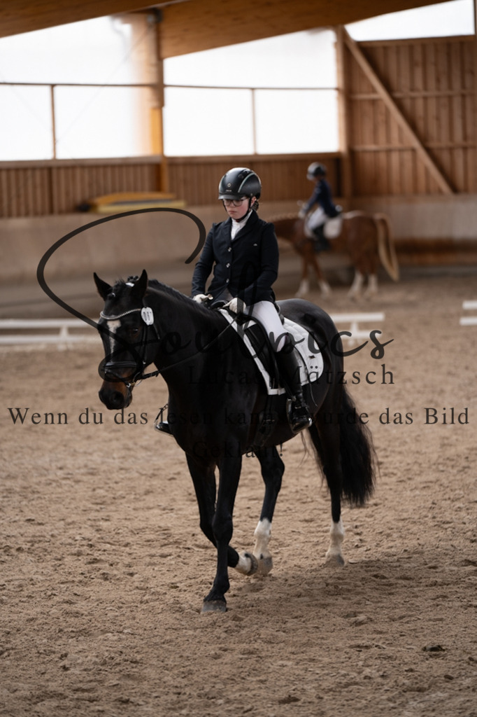 A7V09435 | Pferdefotograf