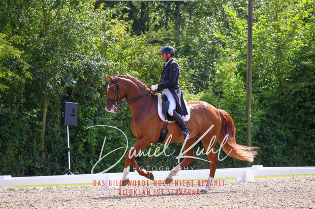 DKP41325 | Turnierfotos kaufen im Webshop von Daniel Kuhl Photography – entdecke professionelle Reitsportfotos aus Turnieren & Events. Hochwertige Turnierbilder online bestellen & sichern. Jetzt Fotos von Reitsportturnieren kaufen!