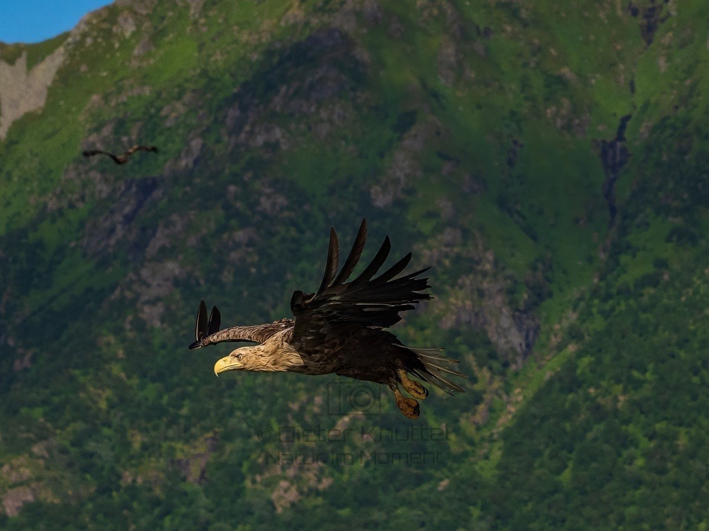 P1001606-LR-topaz-enhance | Natur im Moment - Realisiert mit Pictrs.com