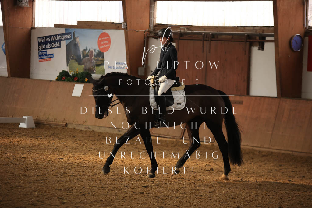 IMGT7426 | pl-fotografie