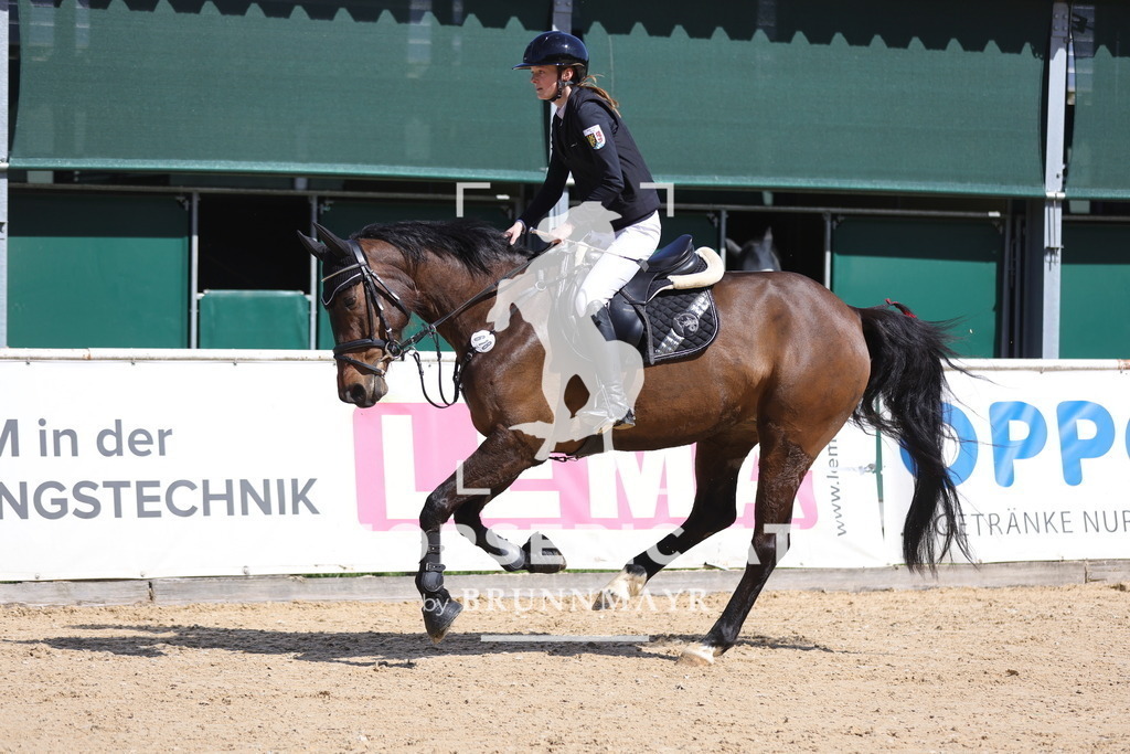 0P6A7841 | Willkommen bei Brunnmayr - Design & Fotografie – Ihrem Spezialisten für Reitturniere und Pferdeveranstaltungen in Oberösterreich, Salzburg und Bayern! Seit über 17 Jahren sind wir leidenschaftlich dabei.