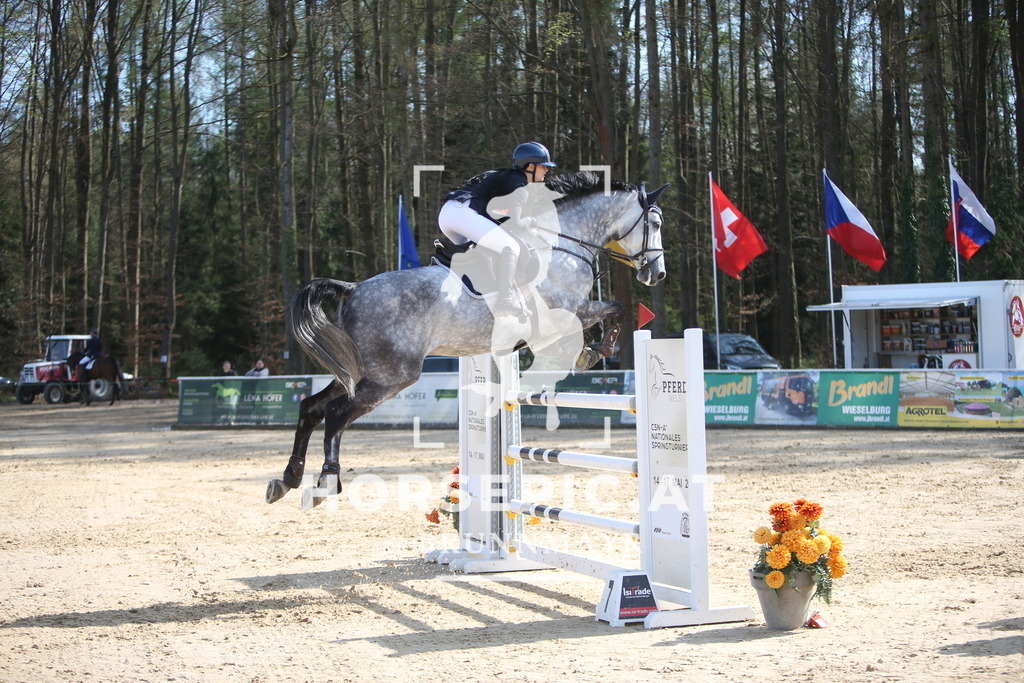 PP015298 | Willkommen bei Brunnmayr - Design & Fotografie – Ihrem Spezialisten für Reitturniere und Pferdeveranstaltungen in Oberösterreich, Salzburg und Bayern! Seit über 17 Jahren sind wir leidenschaftlich dabei.