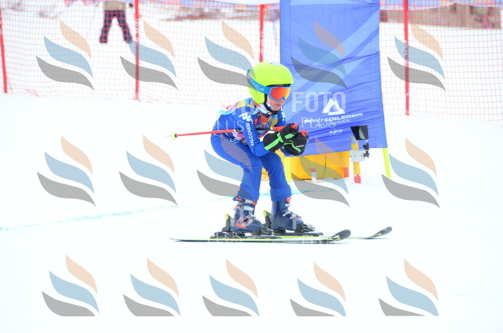 DSC_1644 | holidayphoto