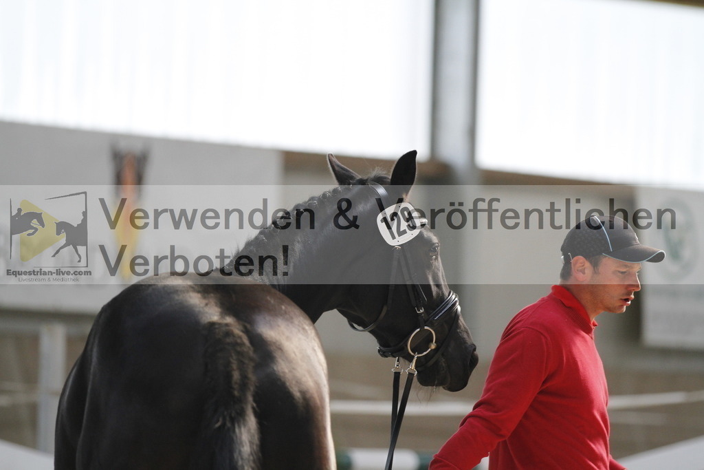 _MG_9803 | equestrian-live-com