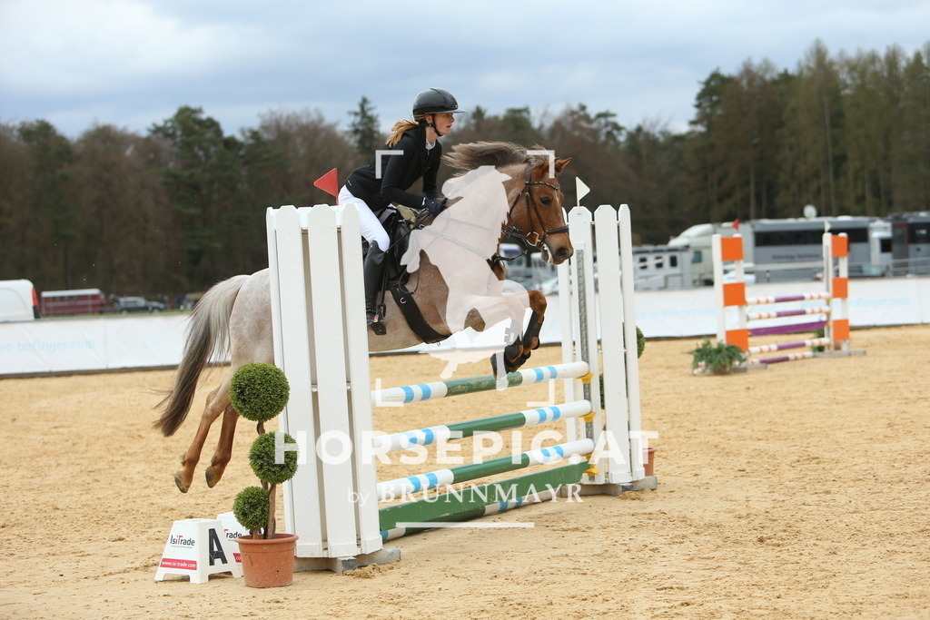 DL2Q2617 | Willkommen bei Brunnmayr - Design & Fotografie – Ihrem Spezialisten für Reitturniere und Pferdeveranstaltungen in Oberösterreich, Salzburg und Bayern! Seit über 17 Jahren sind wir leidenschaftlich dabei.