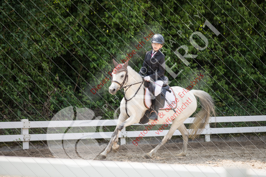 IMG_4019 | Sport-, Event- und Tierfotos in Profiqualität. Einfach auswählen, bestellen und herunterladen. Dein Moment – perfekt festgehalten.