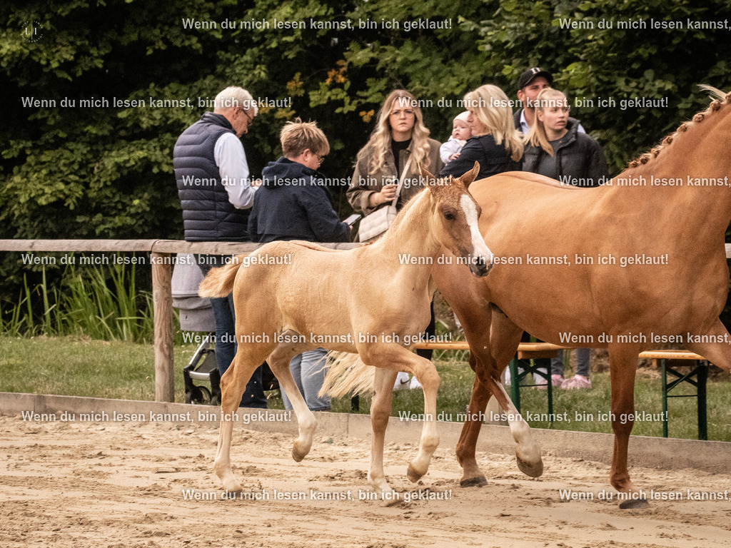 A10I3411 15.56.14 | photographylinaismer - Realisiert mit Pictrs.com