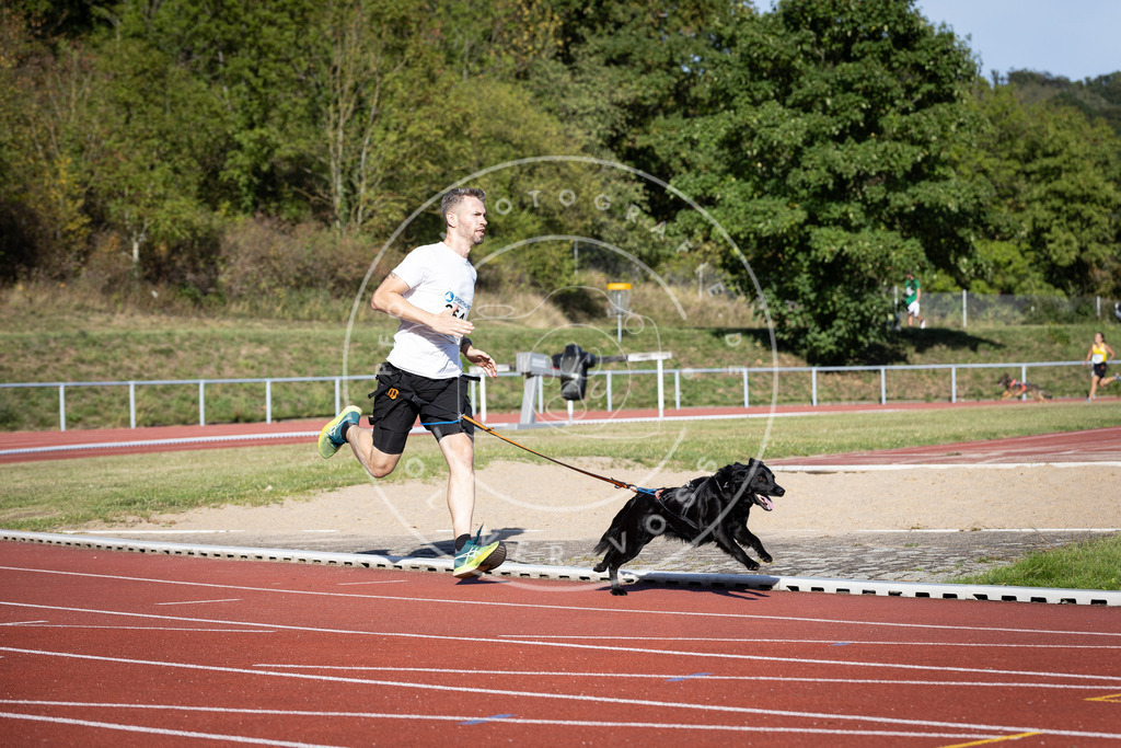 Pfotenfotografie_DV3A9725 | Hundefotografie, Tierfotograf, Pfotenfotografie, Fotoshooting Hund, Hunde Portrait, Hundesport, Hundeportraits, Heideshooting, Hunde, Sportfotograf, Hundefotograf, Turnierhundsport, THS,  - Realisiert mit Pictrs.com