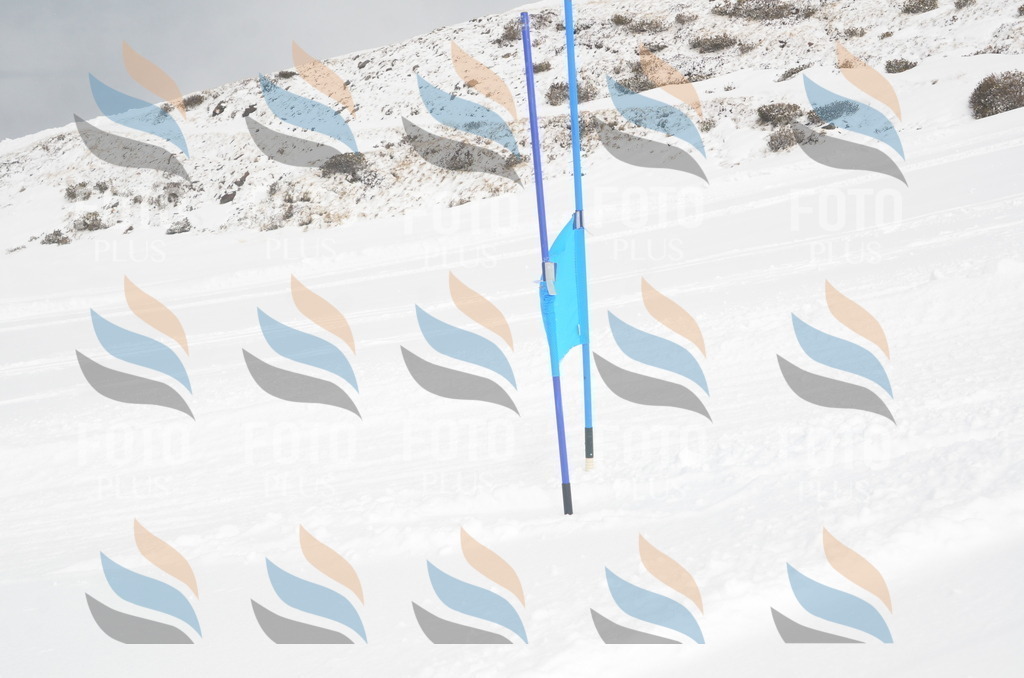 A5650 | holidayphoto