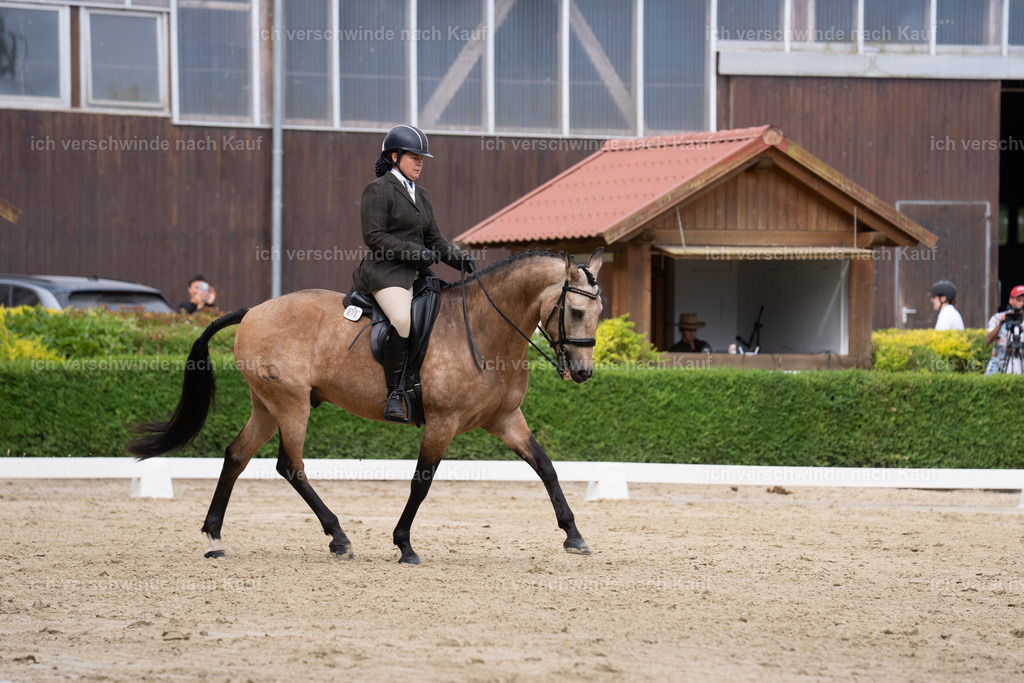 WS_DR_75_sinafilmart_IN00851 | working equitationturnier fotograf videograf stoibphotography marixx film working equitation deutschland reitsport turnierfotografie eventfotografie equestrian events