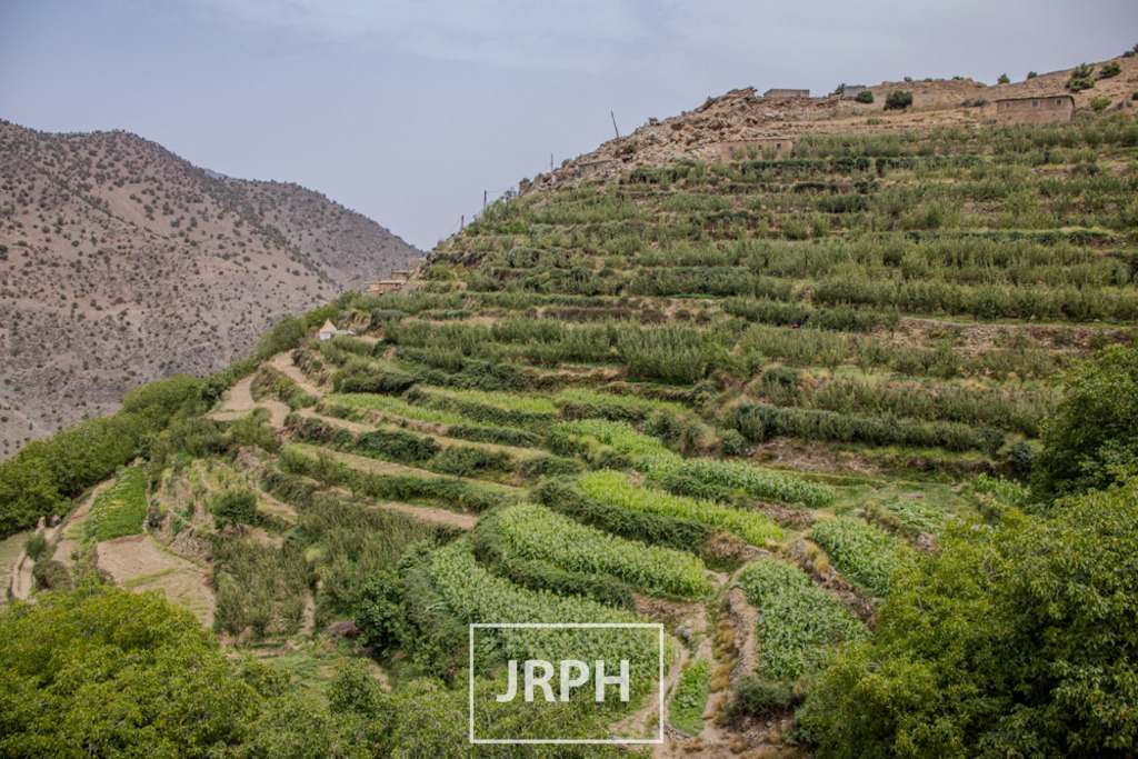 IMG_8201 | jrph - Realisiert mit Pictrs.com