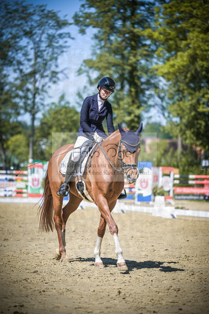 DOS_7076 | Entdecke hochwertige Reitturnierfotos von Foto Oger. Professionell, emotional und authentisch – jetzt Lieblingsmomente im Shop bestellen.Deutschlandweite Turnierfotografie. - Realisiert mit Pictrs.com