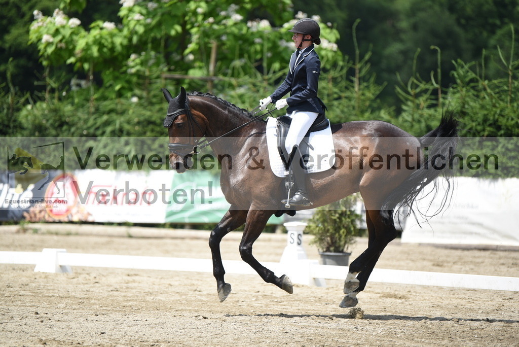 DSC_9448 | equestrian-live-com