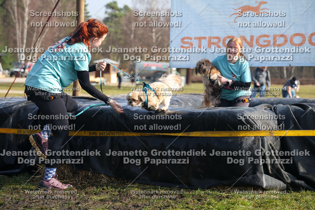 Dog Paparazzi - Strongdog North Mrz26-1564 | Dog Paparazzi Jeanette Grottendiek Fotografie & Videografie - Realisiert mit Pictrs.com