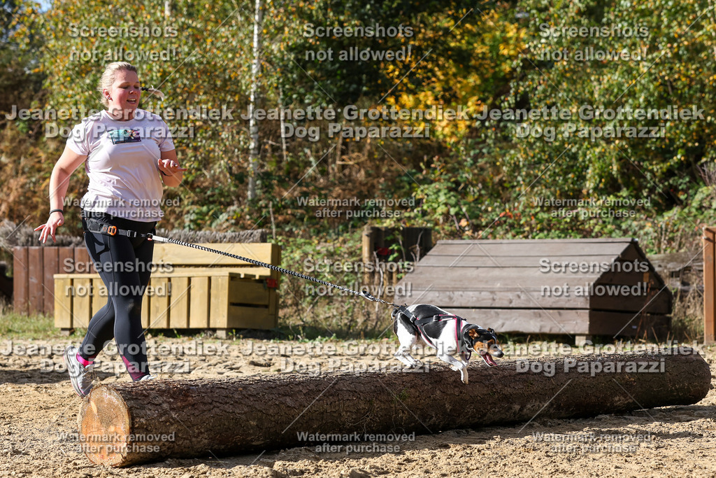 Dog Paparazzi - Strongdog 10-25-5468 | Dog Paparazzi Jeanette Grottendiek Fotografie & Videografie - Realisiert mit Pictrs.com