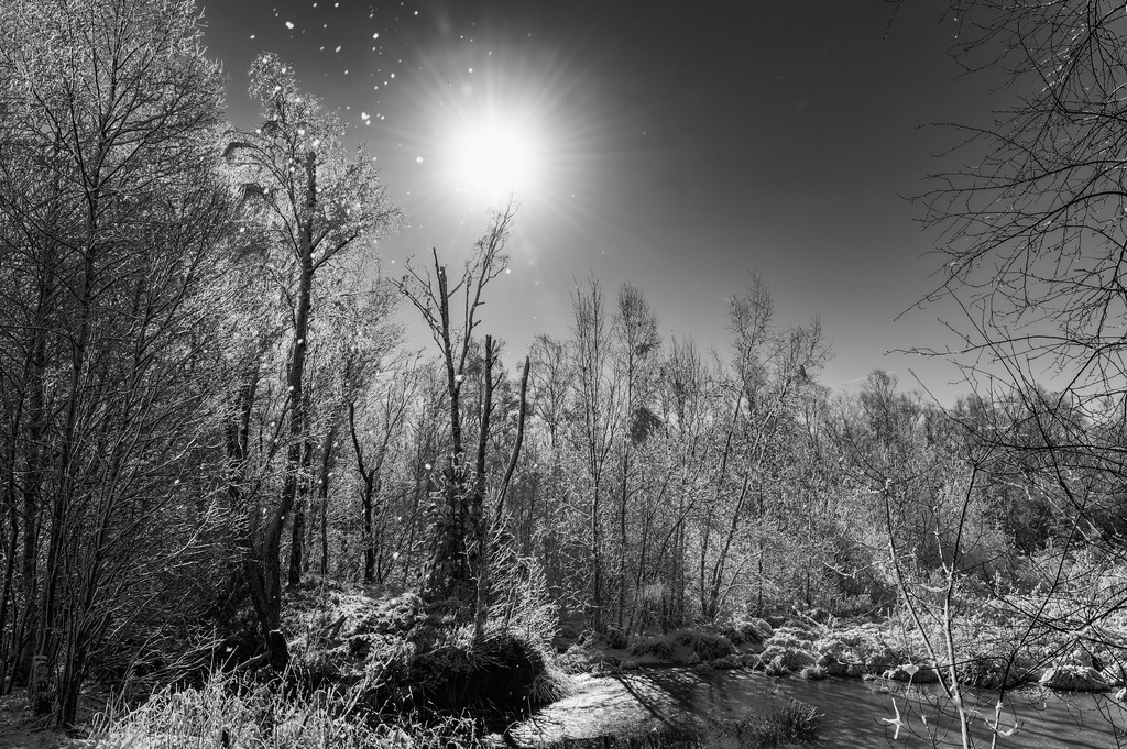2023_03_11_MCP7343 sw | Hochwertig gedruckte Fotografien für die Wand, als Kalender und zum Verschenken. Hamburg & Norddeutschland und überall wo ich mit der Kamera unterwegs war.