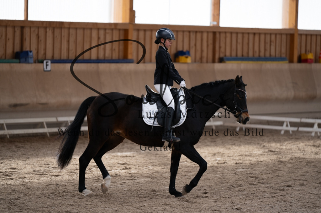 A7V09329 | Pferdefotograf