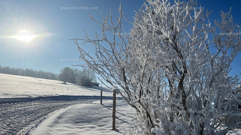 IMG_E6741 | www.foto-fritz.com - Realisiert mit Pictrs.com