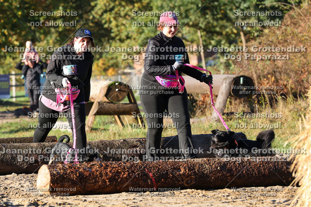 Dog Paparazzi - Strongdog 10-25-997 | Dog Paparazzi Jeanette Grottendiek Fotografie & Videografie - Realisiert mit Pictrs.com